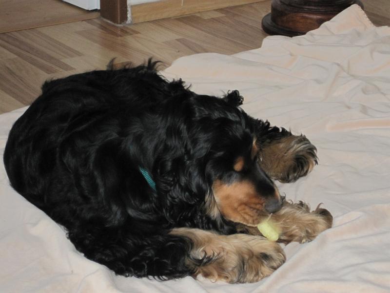 e Arny-10.4.2010.JPG